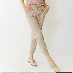 Albion Fit Destination Joggers In Cobblestone Casual Travel Size Small